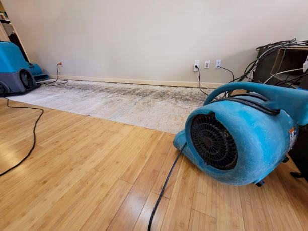 Professional Basement Flood Cleanup technician working in Oswego, NY